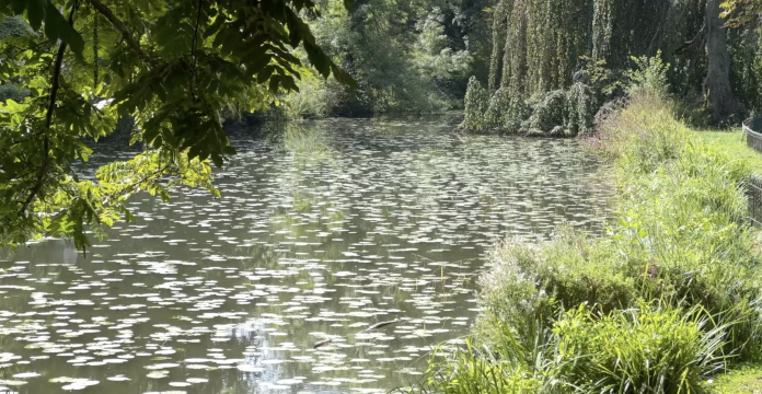 Les endroits pour se rafraîchir à Metz.