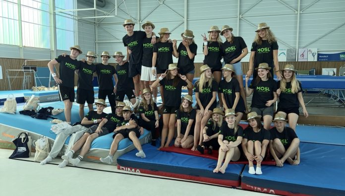 gymnastes Danois Fameck