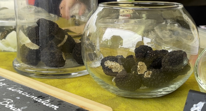 Marché : Metz succombe aux saveurs de la truffe