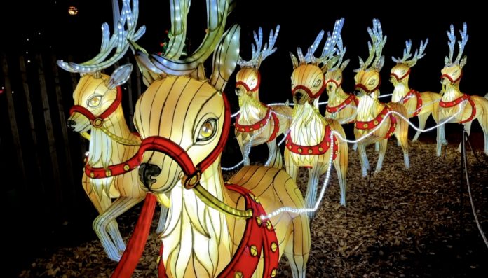 Nouveautés Noël Moselle