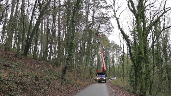 Pour assurer la sécurité des promeneurs, des travaux sont réalisés du 11 au 15 décembre, au Mont Saint-Quentin.