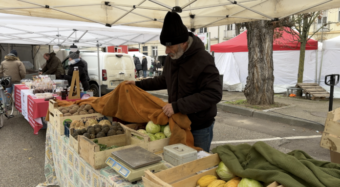 Comment les maraîchers s'adaptent pour protéger leurs légumes du froid ?