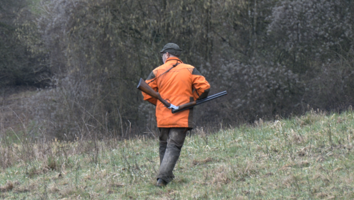 La chasse en battue est interdite le dimanche à Thionville jusqu’en 2033