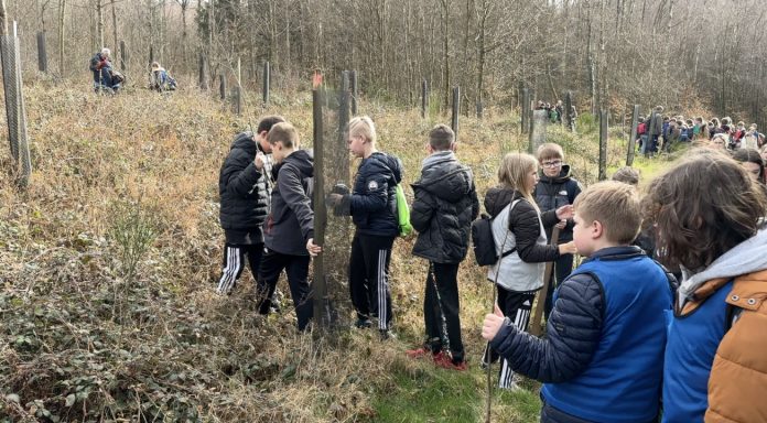 forêt de demain harreberg