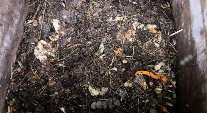 Compost