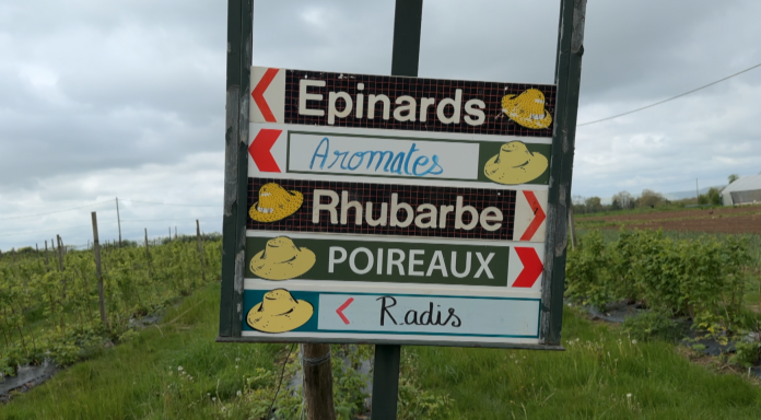 La cueillette de Peltre