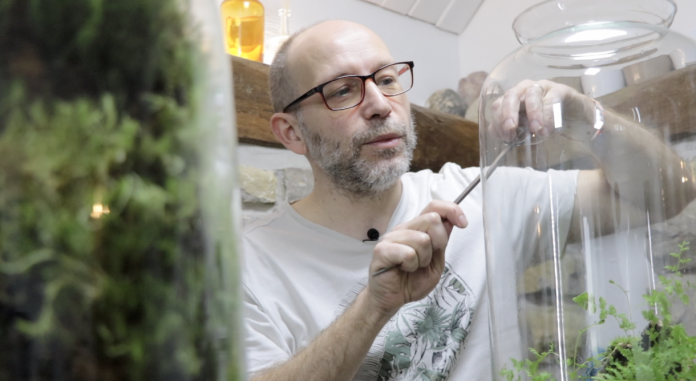 Terrarium : découvrez les sublimes mini-forets sous cloche de Sébastien Boess