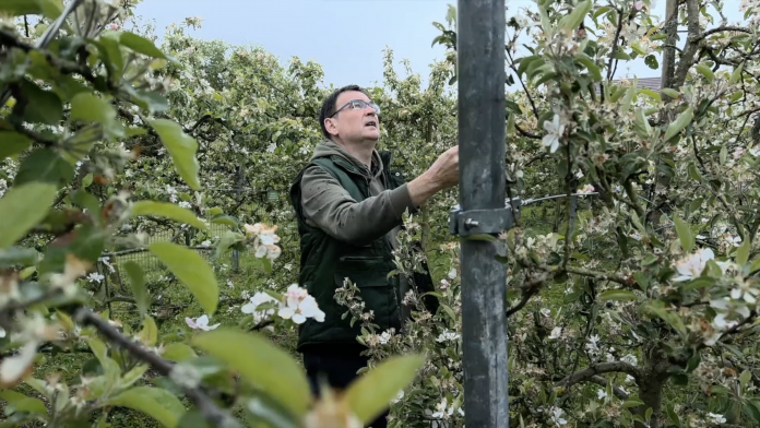 Raymond Loos, président de l’UDSAH Moselle, inspectant les plantations