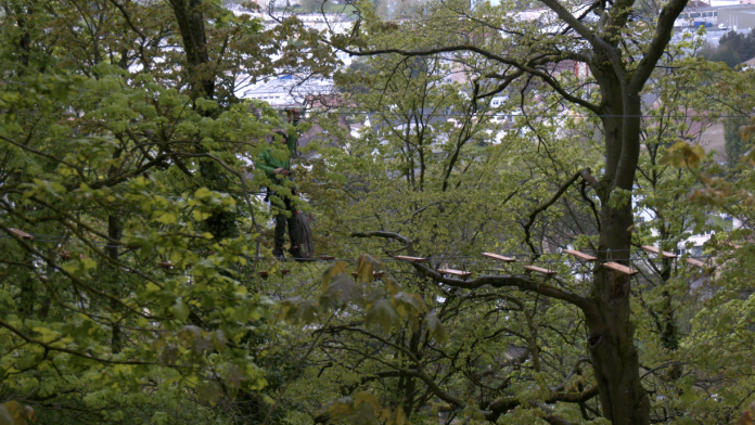 Schlossberg : le parc d’accrobranche ouvre ses portes