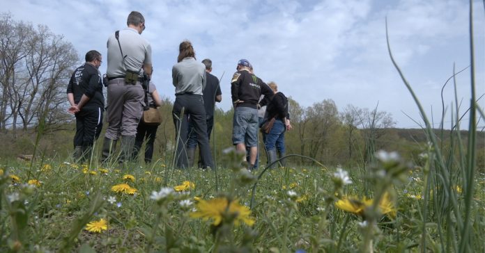 infractions environnementales