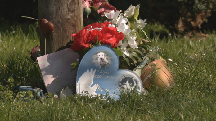 Insolite : les animaux aussi ont leur crématorium