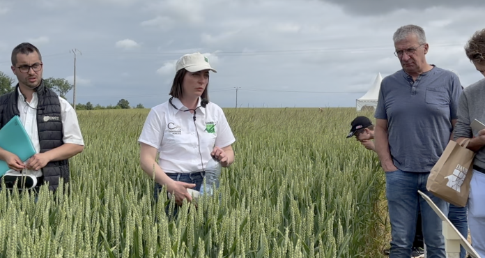 Des agriculteurs lorrains découvrent un champ d’expérimentation