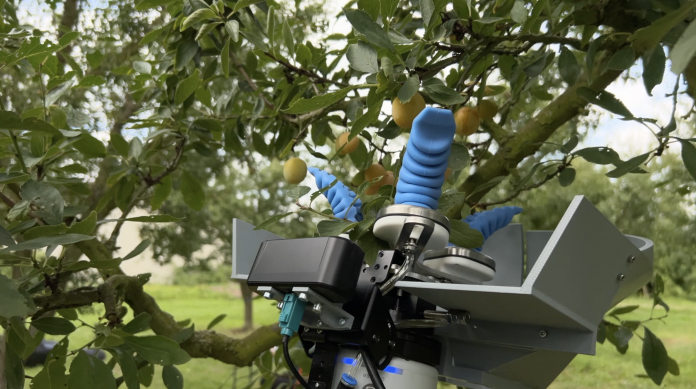 Présentation du prototype de Syracuse : robot cueilleur de mirabelles