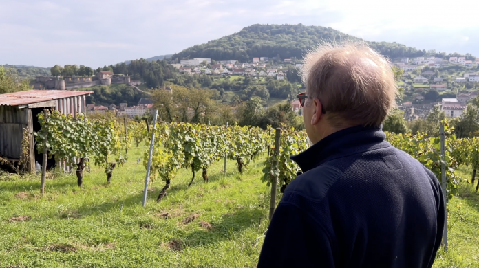 Mini-série : Au domaine du stromberg, la passion naît dans les vignes