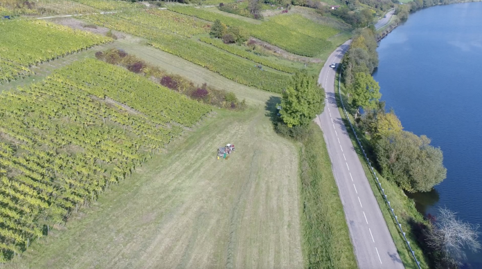 Mini-série autour des vendanges : sur la route des vins de Moselle