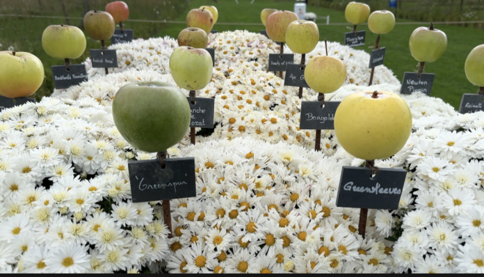 Fête des Jardins et des Saveurs : la pomme dans tous ses états les magnifiques.