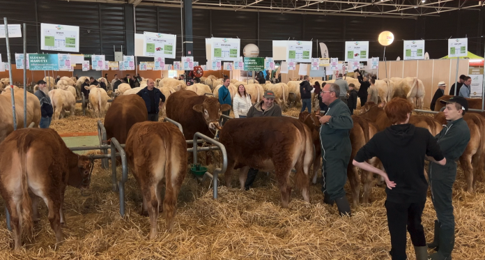 La Région Grand Est annonce 9,5 millions d'euros d'aides d'urgence face aux crises climatiques et sanitaires