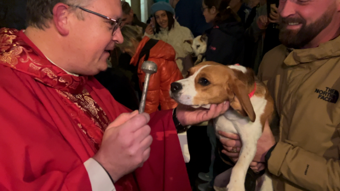 La Bénédiction des Chiens de Chasse, une Tradition pour la Saint-Hubert