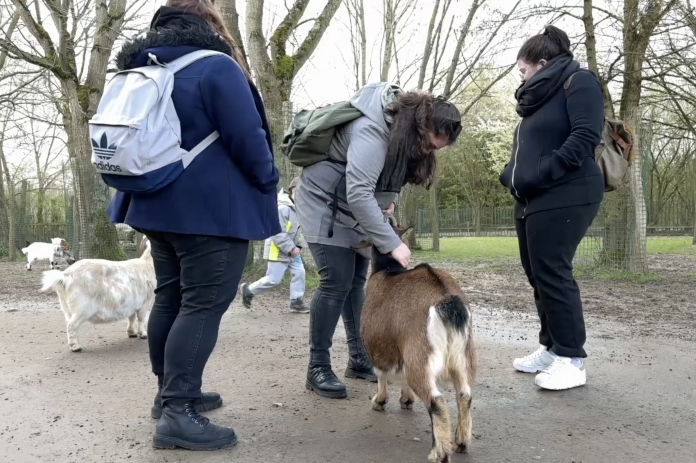 Le Zap 57 : le parc de Sainte-Croix ouvert cet hiver !