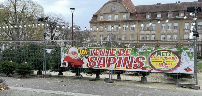 Le Zap 57 : acheter votre sapin près de chez vous !