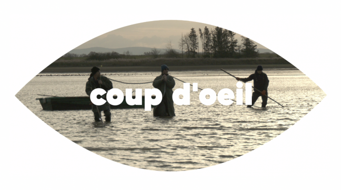 Fête de la Grande Pêche : une tradition et des tonnes de poissons