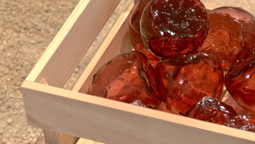 Kaktus, Boule de Meisenthal 2024