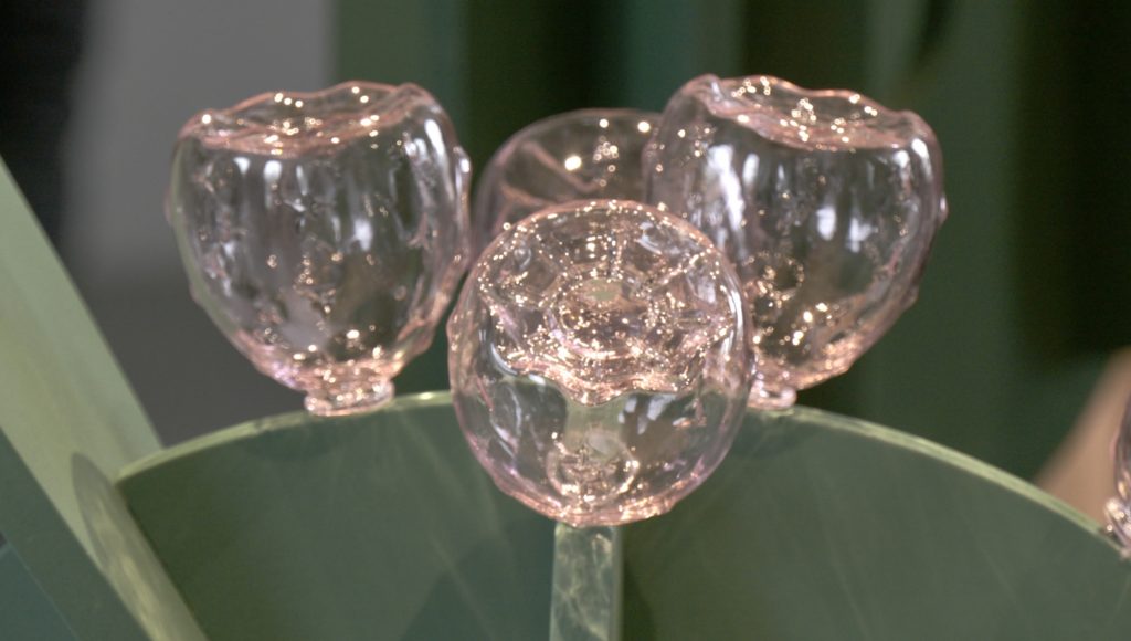 Kaktus, Boule de Meisenthal 2024