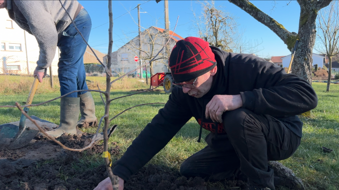 L’hiver, le bon moment pour acheter et planter dans nos vergers