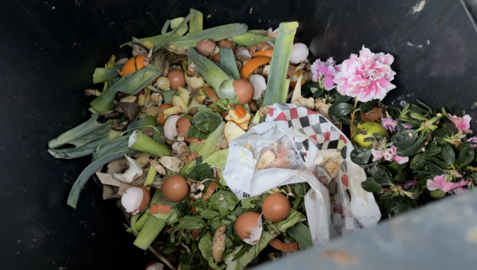 Mad & Moselle dit stop aux ramassages des déchets