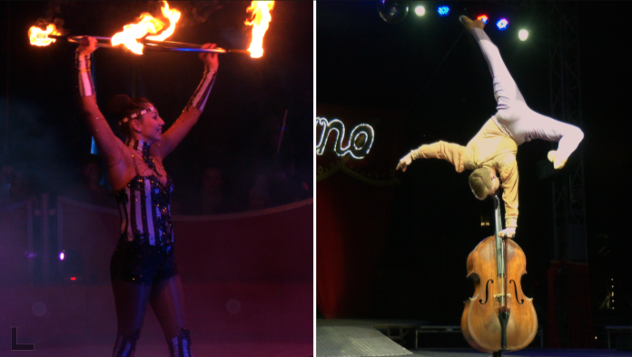 Même sans les animaux, les cirques continuent de faire rêver le public