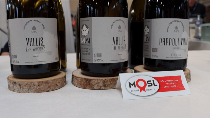 Face aux vins français et étrangers, l'AOC Moselle n'a pas à rougir