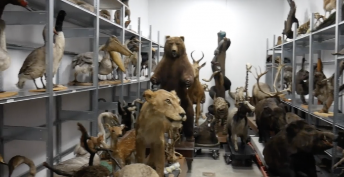 Ce musée fait appel aux dons pour son Pavillon de la Biodiversité