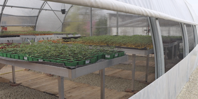 L’IME Le Wenheck a inauguré ce mardi une serre pédagogique dans le cadre du projet « La Serre vers l’emploi ».