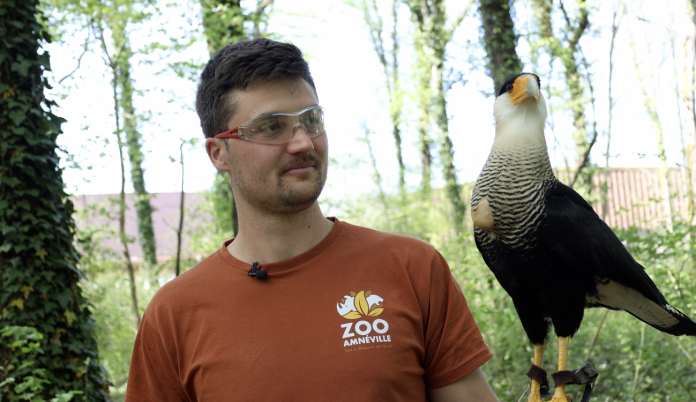 Deux nouvelles activités au Zoo d'Amnéville