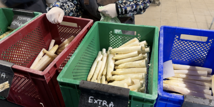 C’est la ruée vers les asperges !