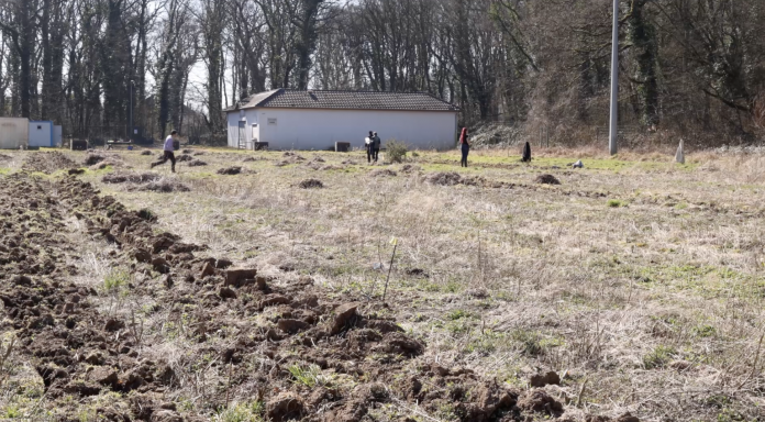 Torcol transforme un ancien stade de foot... en un verger pédagogique !