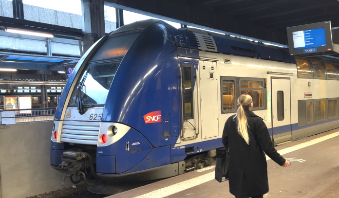 Trois vaches percutées par un TER : trains à l’arrêt entre Thionville et le Luxembourg