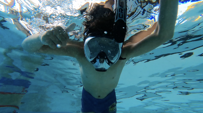 Nagez avec les baleines à la piscine de Forbach