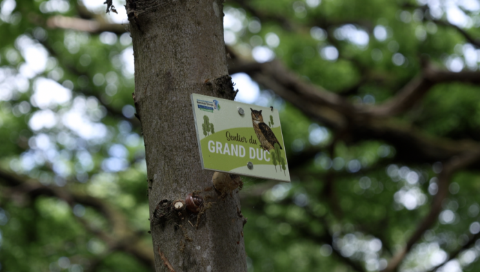 Sentier du Grand Duc : 5,7 km balisé autour de la carrière de St-Avold