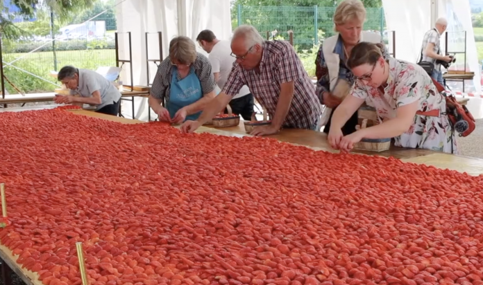 Le Zap 57 : le record de la plus grande tarte aux fraises battu par le Finistère