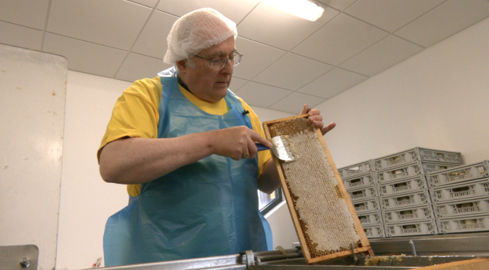 La ruche dévoile ses secrets à la Fête de l’abeille et de la nature