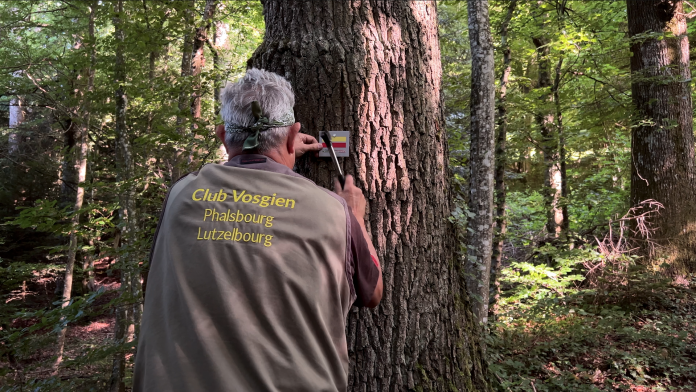 Le Sud de la Moselle accueille un nouveau sentier de randonnée