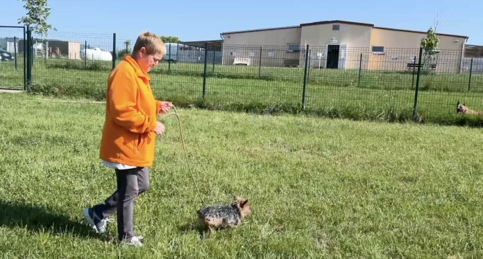 Dans les bottes de Chantal, bénévole à la SPA de Thionville