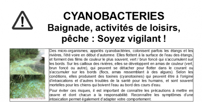 Plusieurs sites de baignade en Moselle sont temporairement ou définitivement fermés en raison de contaminations bactériologiques et de la présence de cyanobactéries.
