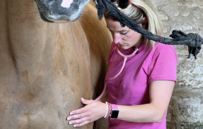 Dans les bottes de Sonia Royer, vétérinaire équin