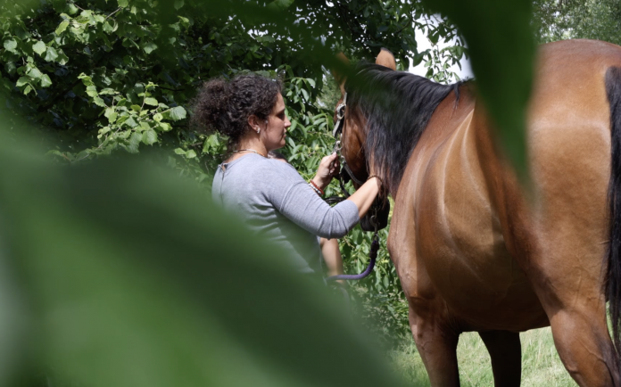 Morgane Hulin prodigue des massages énergétiques pour les chevaux
