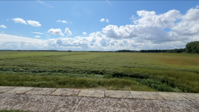 L'étang de Lindre mis en assec pour travaux