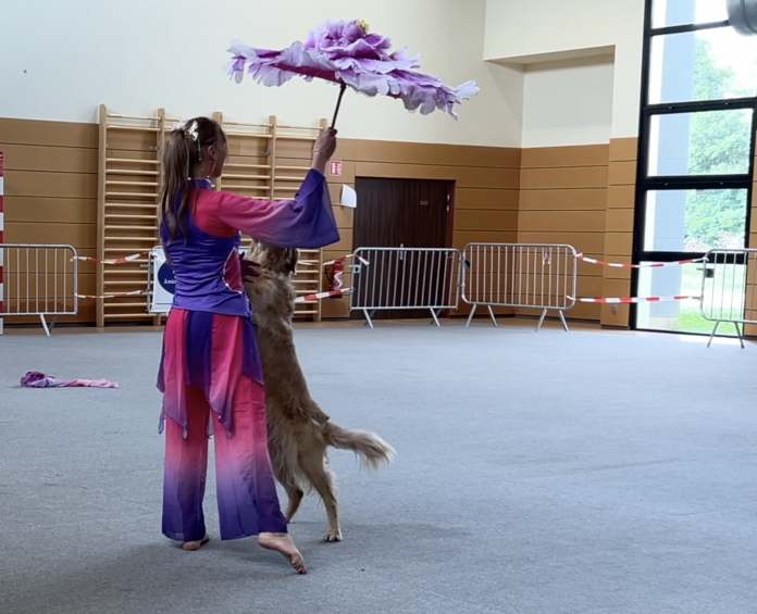 Le Dog Dancing : une pratique qui a du chien !