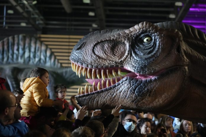 Dinosaures. Crédit photo : Le Musée Éphémère.