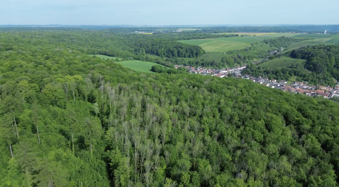 Ce que l’on sait de la disparition d’Iwona Becker